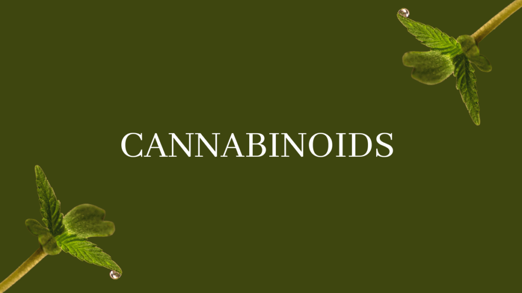 Cannabinoids plant power series featuring green leaves, only available at Potency No. 710.