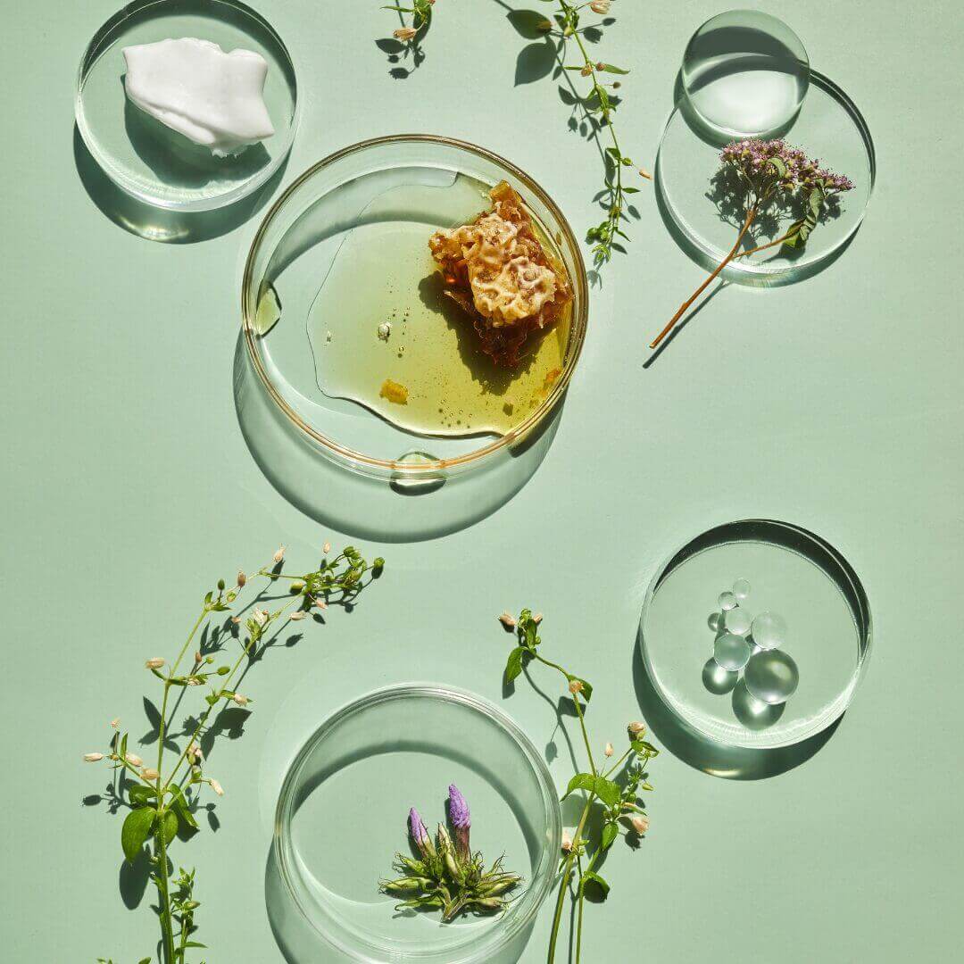 Natural botanical ingredients in glass dishes, showcasing Potency No. 710's unique skincare formulation, enhancing beauty rituals.